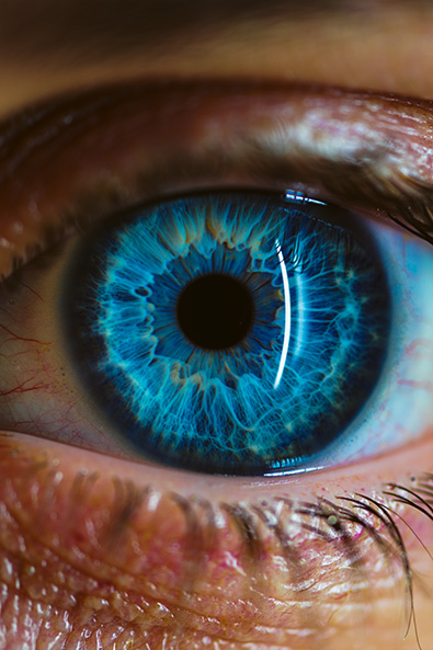 After close-up photograph of a blue human eye