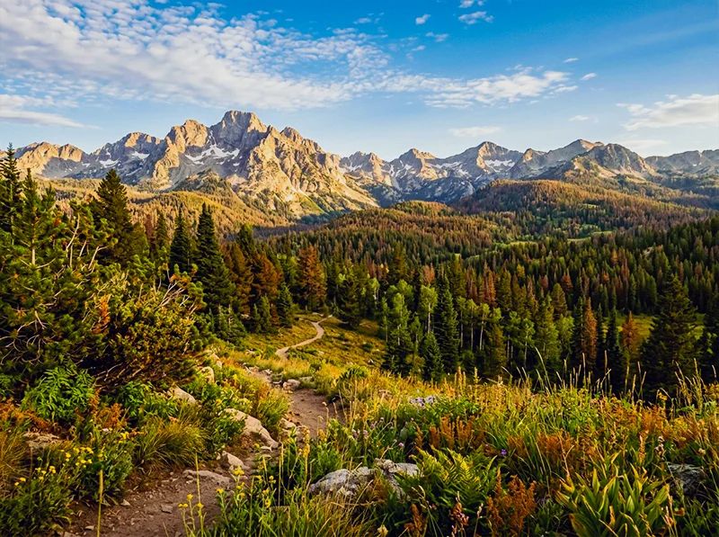 Landscape photography edited in a Fujichrome Velvia 100 style, hyper-saturated greens, vivid blues and deep contrast in Lightroom
