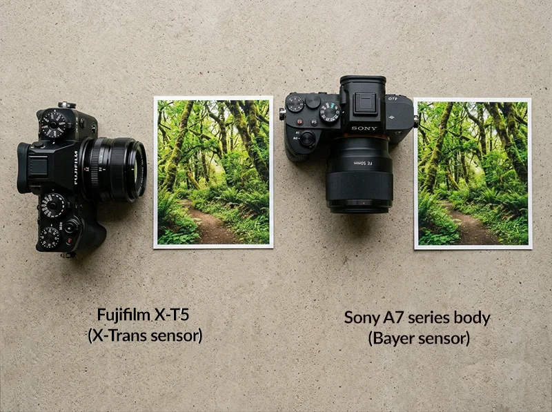 Fujifilm X-Trans sensor versus Sony Bayer sensor green rendering comparison