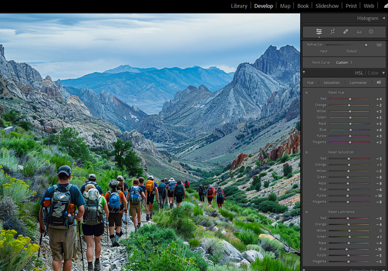 Lightroom HSL settings for Fuji greens