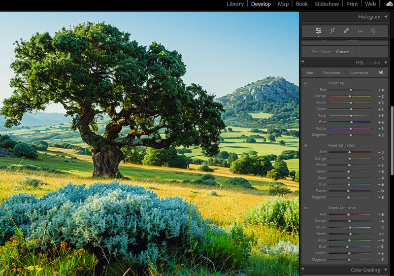 Lightroom HSL panel for Provia color grading
