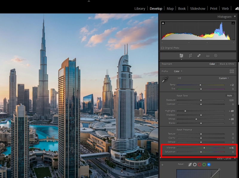 Lightroom Develop module showing Vibrance set between +10 and +20 with Saturation at 0 for Kodak Ektachrome E100 look