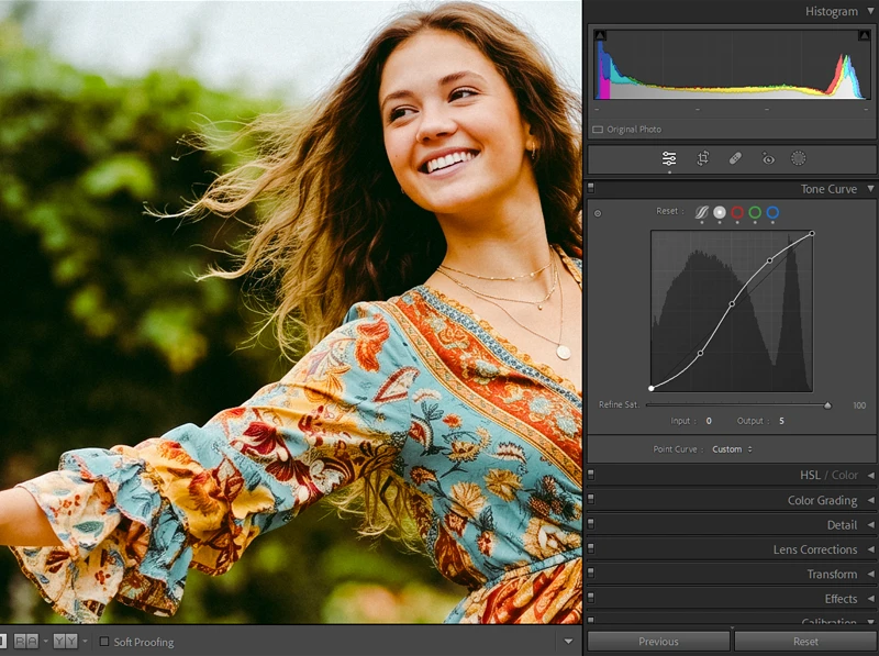 Lightroom tone curve with raised black point and gentle highlight rolloff for Kodak film color science emulation
