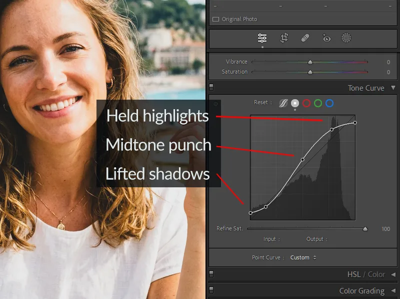Lightroom Point Curve panel set up for a film-style high-saturation look with lifted blacks, gentle S-curve, and held highlights