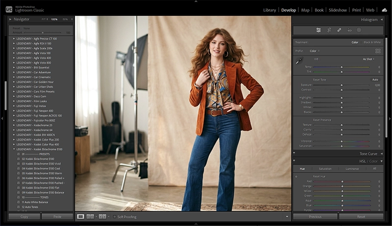 Lightroom Classic Develop module showing presets panel and adjustment sliders